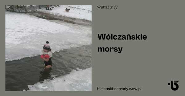  Wólczańskie morsy