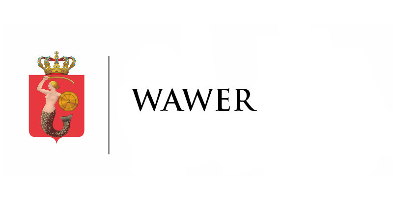  CYBER – WAWER – III edycja